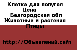 Клетка для попугая › Цена ­ 400 - Белгородская обл. Животные и растения » Птицы   
